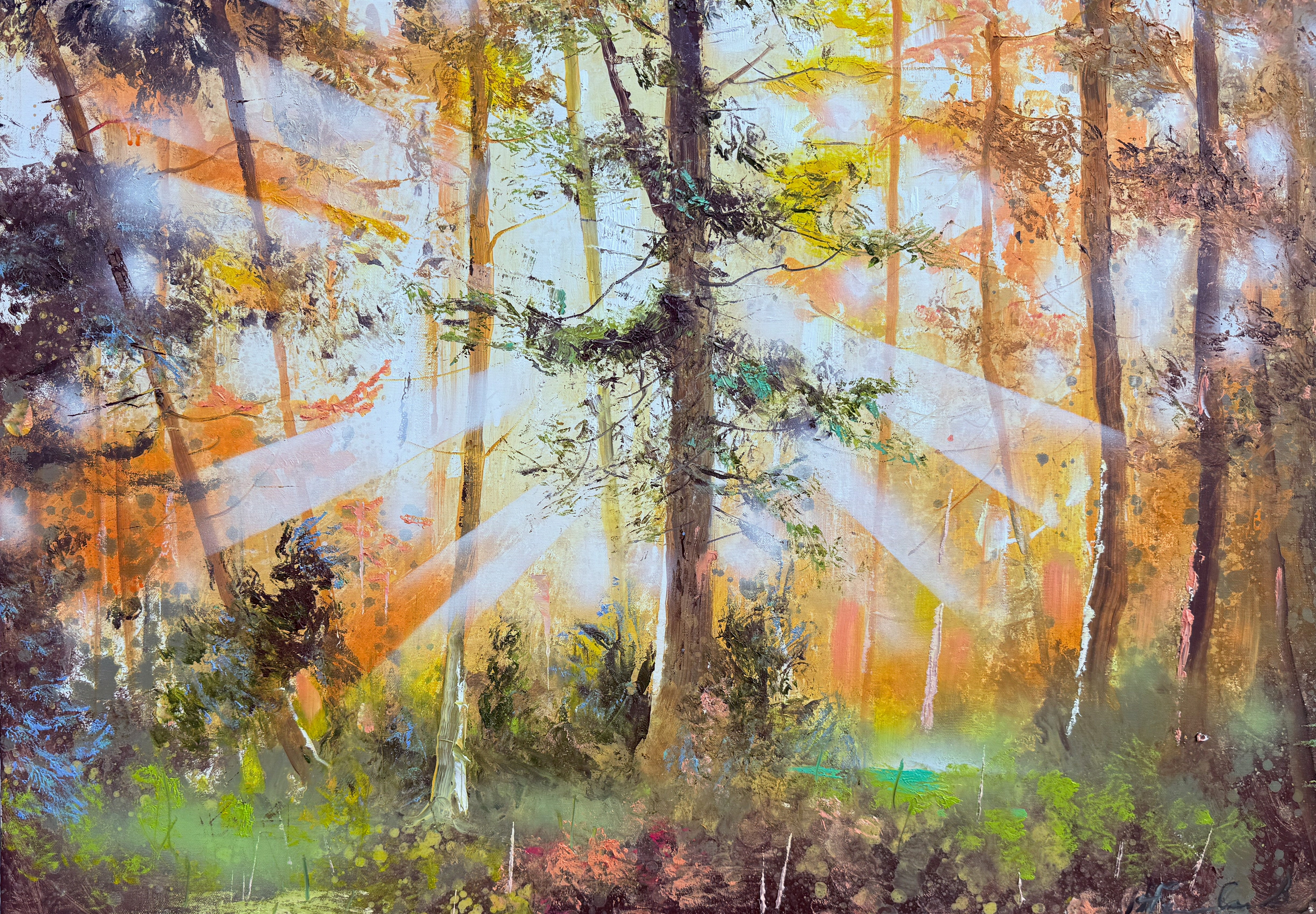 Rytas miške, 100x70